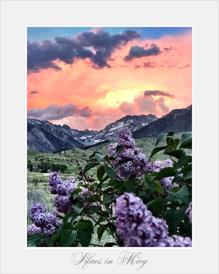 Pine Creek Cabin Livingston Montana Exterior photo