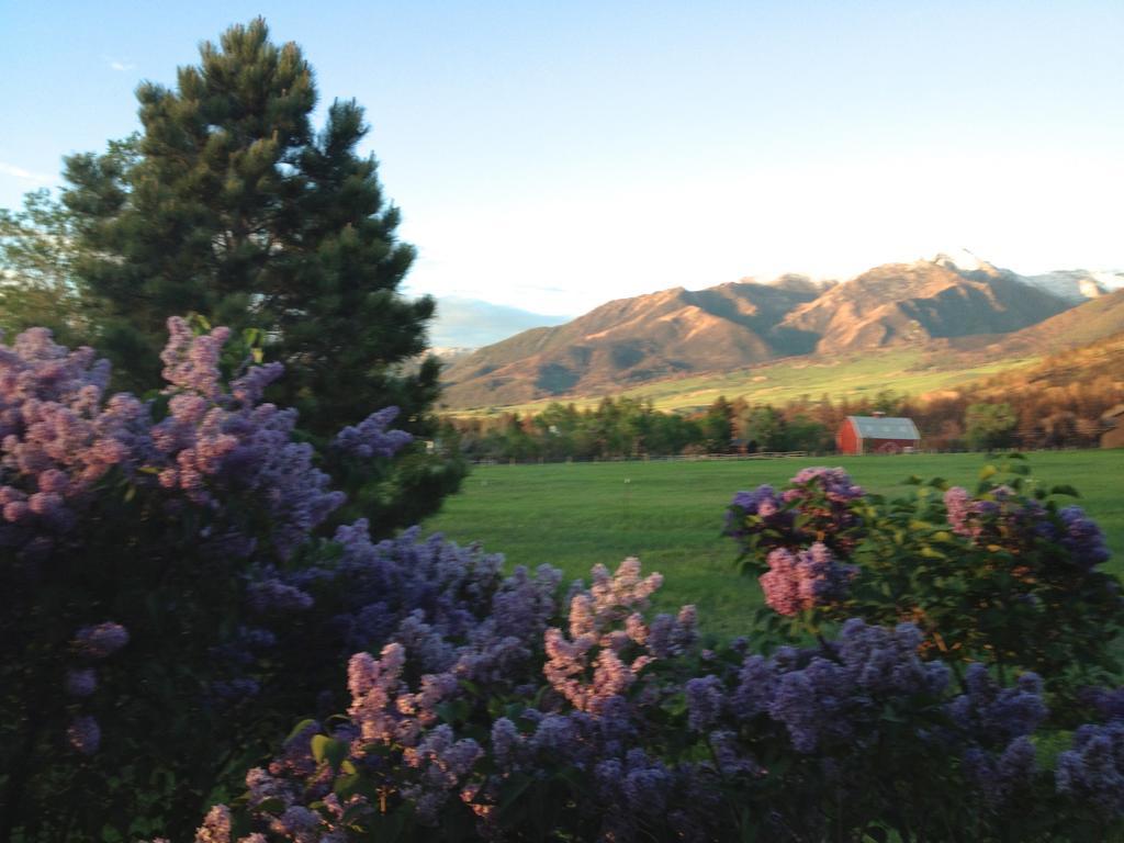 Pine Creek Cabin Livingston Montana Exterior photo