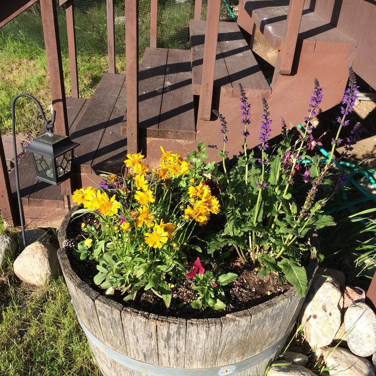 Pine Creek Cabin Livingston Montana Exterior photo