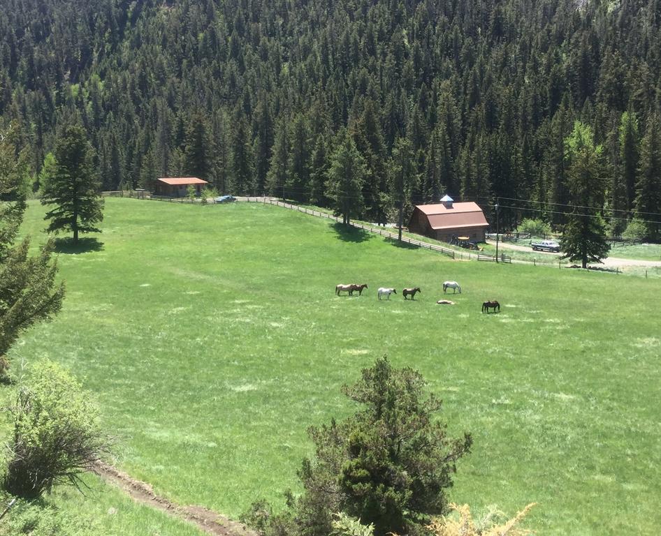 Pine Creek Cabin Livingston Montana Exterior photo